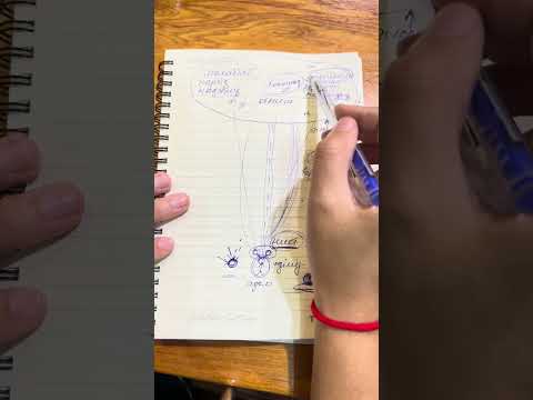 Видео: Почему здесь и сейчас?