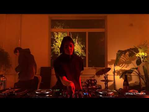 Видео: этюд х птичка w/ gypsy