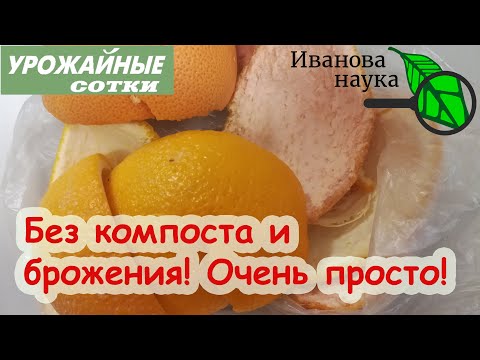 Видео: Теперь собираю ГОРАЗДО БОЛЬШЕ! Эти корки - ценное удобрение для плодородия и урожая!