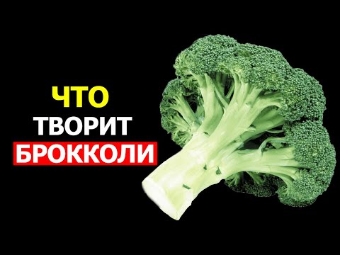 Видео: Вот что произойдет с организмом, если начать есть Брокколи. Невероятная польза Брокколи