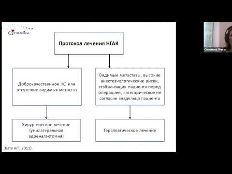 Видео: Гиперадренокортицизм или Синдром Кушинга у собак - часть 2