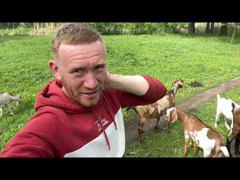 Видео: ЖИЗНЬ МАЛЕНЬКОЙ ФЕРМЫ БЕЗ СПЕШКИ й