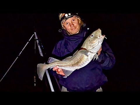 Видео: Когда море отступает, треска играет! | Ловля трески при лунном свете | Рыбалка на северо-востоке