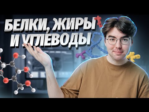 Видео: Белки, жиры и углеводы | Биология ОГЭ 2025 | Умскул