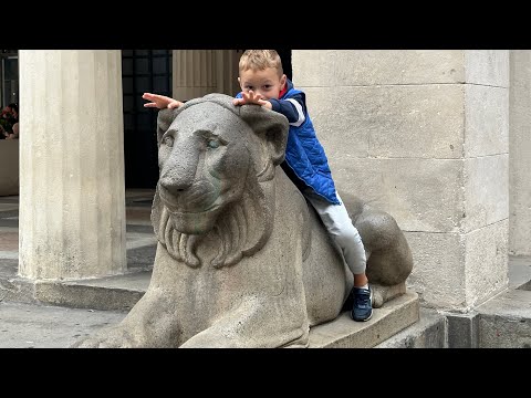 Видео: 🎬 N 6. Прогулка по Венеции. Просто. Экономично и очень запоминающеся 🥰