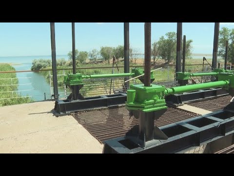 Видео: Поливной воды не хватает фермерам в Алматинской области