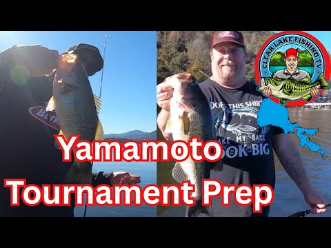 Видео: Серия турниров Yamamoto Baits Only