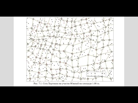 Видео: Фильм  9  Патогенные зоны Хартмана