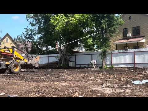 Видео: СНОСИМ ДЕРЕВО, РАСТУЩЕЕ У ЗАБОРА ПРИ ПОМОЩИ ВЕРЕВКИ И ТРАКТОРА