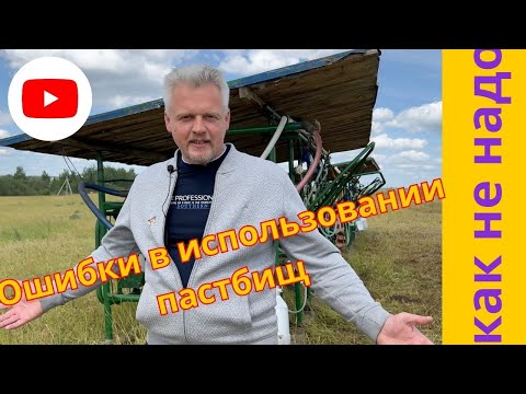 Видео: как не надо пасти коров