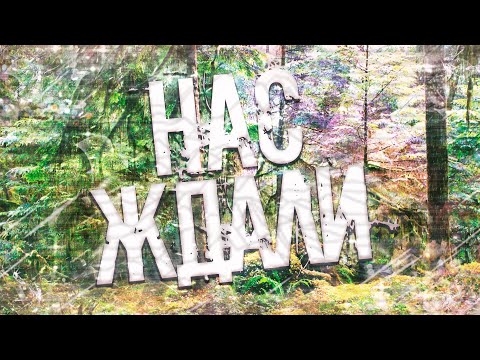 Видео: Страшные истории на ночь-Нас ждали