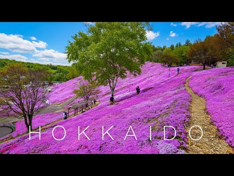 Видео: Как попасть и выпасть от Китами.