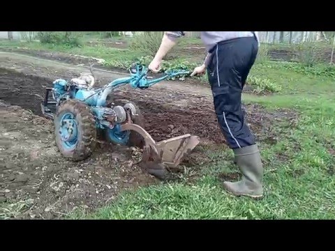 Видео: Мотоблок МТЗ-12 весенняя вспашка в свал.