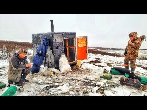 Видео: СЧАСТЛИВЫЕ ЛЮДИ АРКТИКИ! СУРОВАЯ РЫБАЛКА И ЖИЗНЬ НА КРАЮ СВЕТА ! Заполярье ч.5