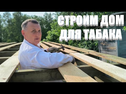 Видео: ТАБАК расти не хочет, а наш ДОМ ТАБАКА растет. ПЕРЕЦ радует. КЛУБНИКА подбросила проблему.