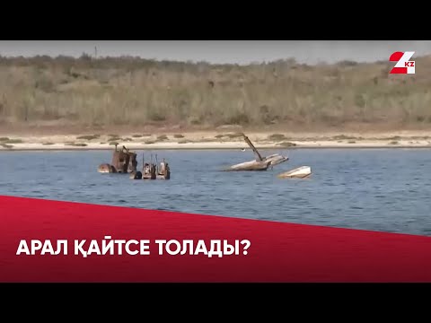 Видео: Арал қайтсе толады?