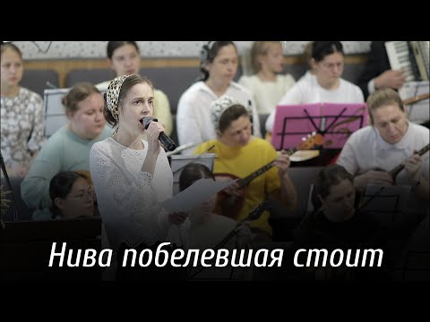 Видео: Нива побелевшая стоит... | пение | Новосибирск