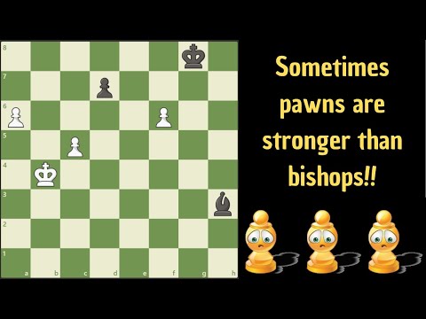 Видео: Играют белые и выигрывают!