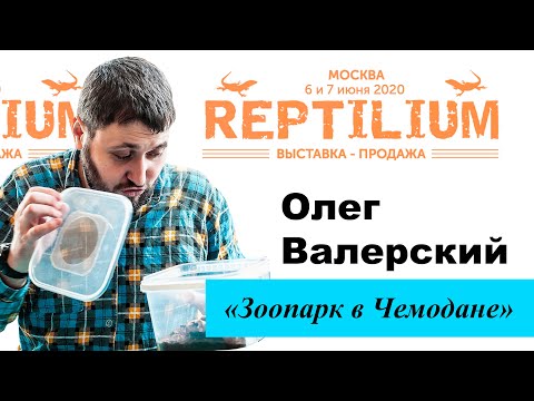 Видео: REPTILIUM 2020. Олег Валерский «Зоопарк в Чемодане»