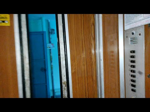 Видео: Лифт (МЛЗ-1981 г.в); V=0,71 м/с; г/п 320 кг (б-р Гая 12 подъезд 5; г. Тольятти; 12-й квартал)