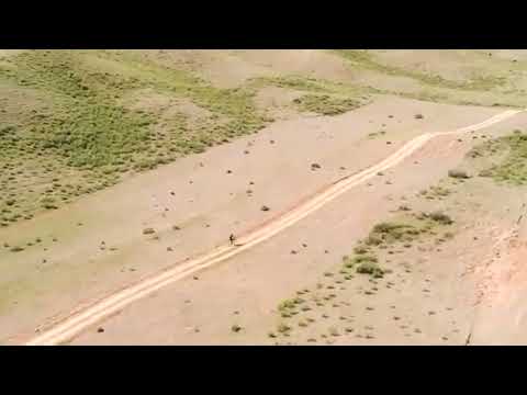 Видео: Арай тобы той Кумис поп