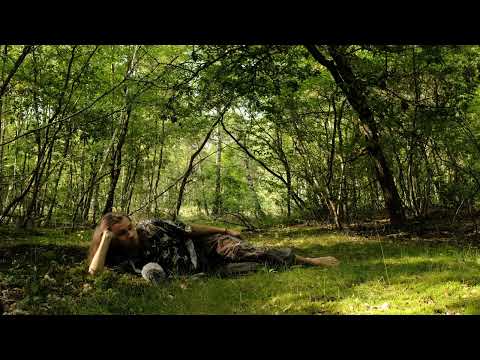 Видео: мы все умрем с музыкой