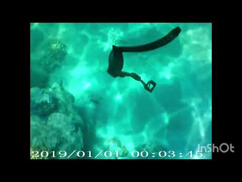 Видео: 1. Ulysse Nardin и SKMEI 1502  под водой в Красном Море. Часовой магазин "Franck Miller Watches Stor