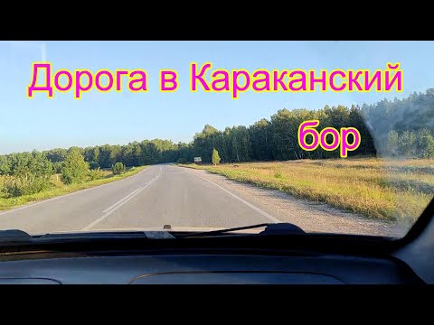 Видео: Дорога в Караканский бор