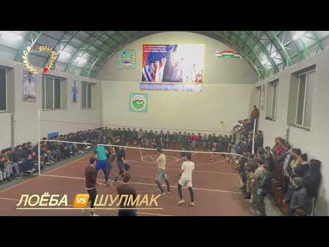 Видео: Волейболи Лоёба 🆚 ШУЛМАК #birds #спорт #волейбол #футбол #birds #спорт #tajikstan #sports