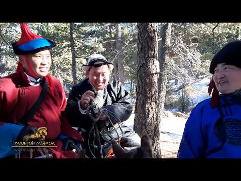 Видео: moriton mongol Dashnyam 2021 11 20 МОРЬТОН МОНГОЛ дуучин Э.Дашням морин аялал