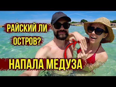 Видео: Медуза НАПАЛА на Свету 😱 Отдых в Таиланде Пошел не по ПЛАНУ 🪼 Сколько СТОИТ отдых в Таиланде? 😳