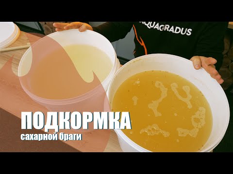 Видео: Подкормка дрожжей в сахарной браге