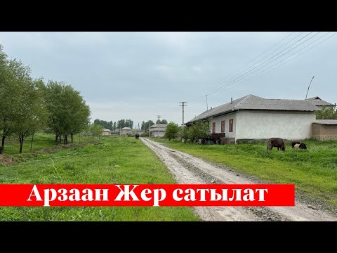 Видео: Ошто арзан 6 сотых Жер сатылат. Срочно тез көргүлө❗️❗️