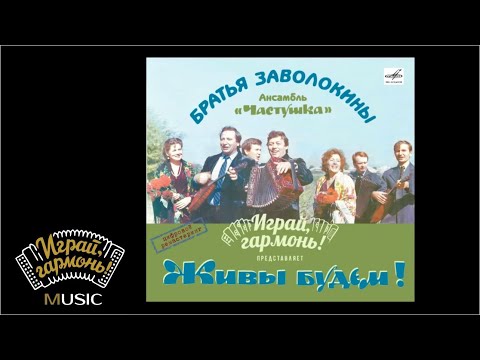 Видео: Играй, гармонь! | Пластинка «Живы будем!» | Братья Заволокины | Ансамбль «Частушка» | Диск 1