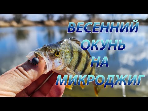 Видео: Микроджиг ранней весной. Окунь на пассивные приманки.