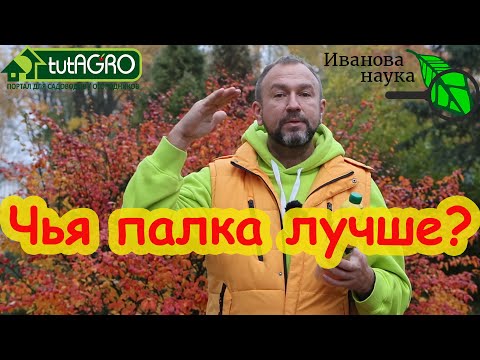 Видео: КАК Я ВЫБИРАЮ СЕННУЮ ПАЛОЧКУ. Выбираем сенную палочку по уму.