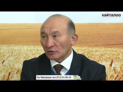 Видео: ТВ Агро: Айыл чарба ондурумун тура сактоо