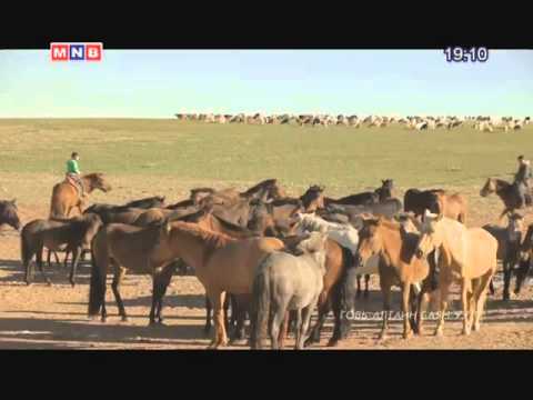 Видео: 4 р Бүлэг Уурганы урт түүх