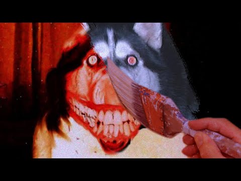 Видео: Оригинальное фото smile dog.jpg