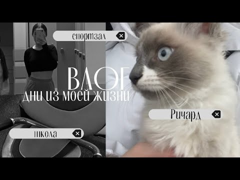 Видео: влог// дни из моей жизни