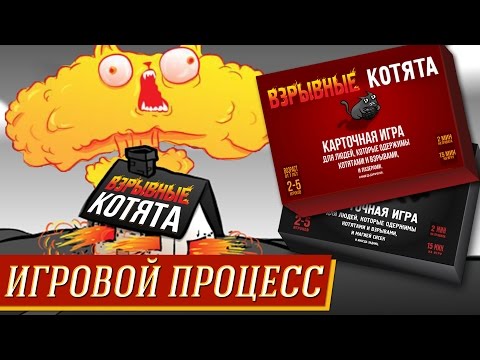 Видео: Exploding Kittens - Игровой процесс на "Два в Кубе"