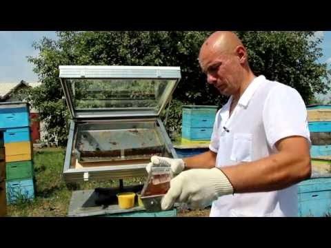 Видео: Воск - который пропадает.