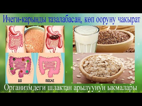 Видео: Ичеги карынды тазалоо ыкмалары, организмдеги шлактан арылуу жолдору