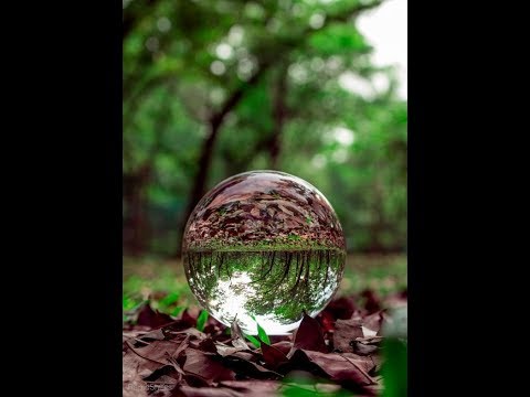 Видео: 362"БАРХАТ  - РЕЗУЛЬТАТЫ применения"