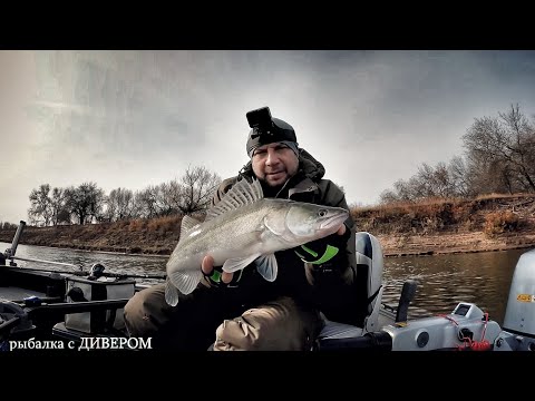 Видео: Осенний выезд - река Ахтуба, ДИВЕР КЛАБ 2023 Ловля судака. УГЛЯНСКОЕ ("золотой судак", это же время)