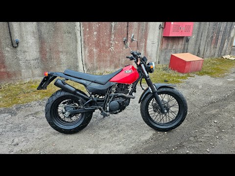 Видео: Yamaha TW 225 - лесной самурай