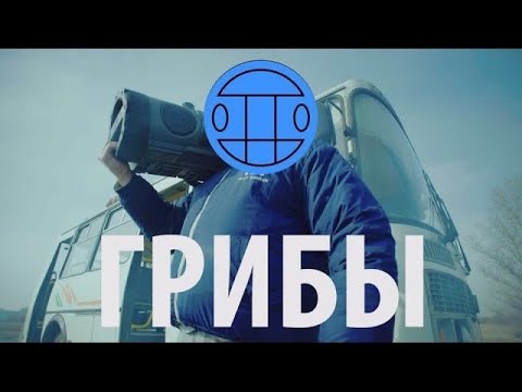 Видео: Грибы - Тает Лёд