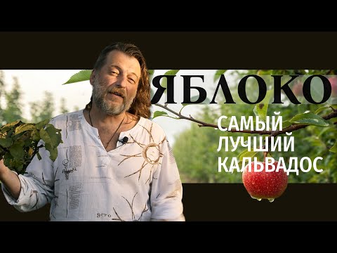 Видео: Рецепт кальвадоса дома: яблочный самогон без воды и дрожжей в медном аламбике