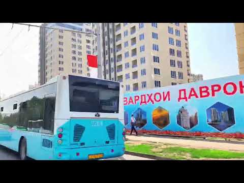 Видео: Цирк Душанбе 2025 #таджикистан #душанбе2025 