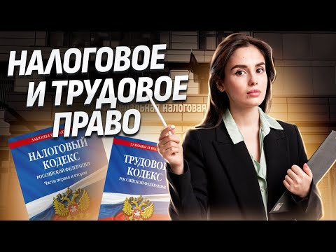 Видео: Полный разбор налогового и трудового права. Это часто спрашивают! | Обществознание ЕГЭ 2025 | Умскул